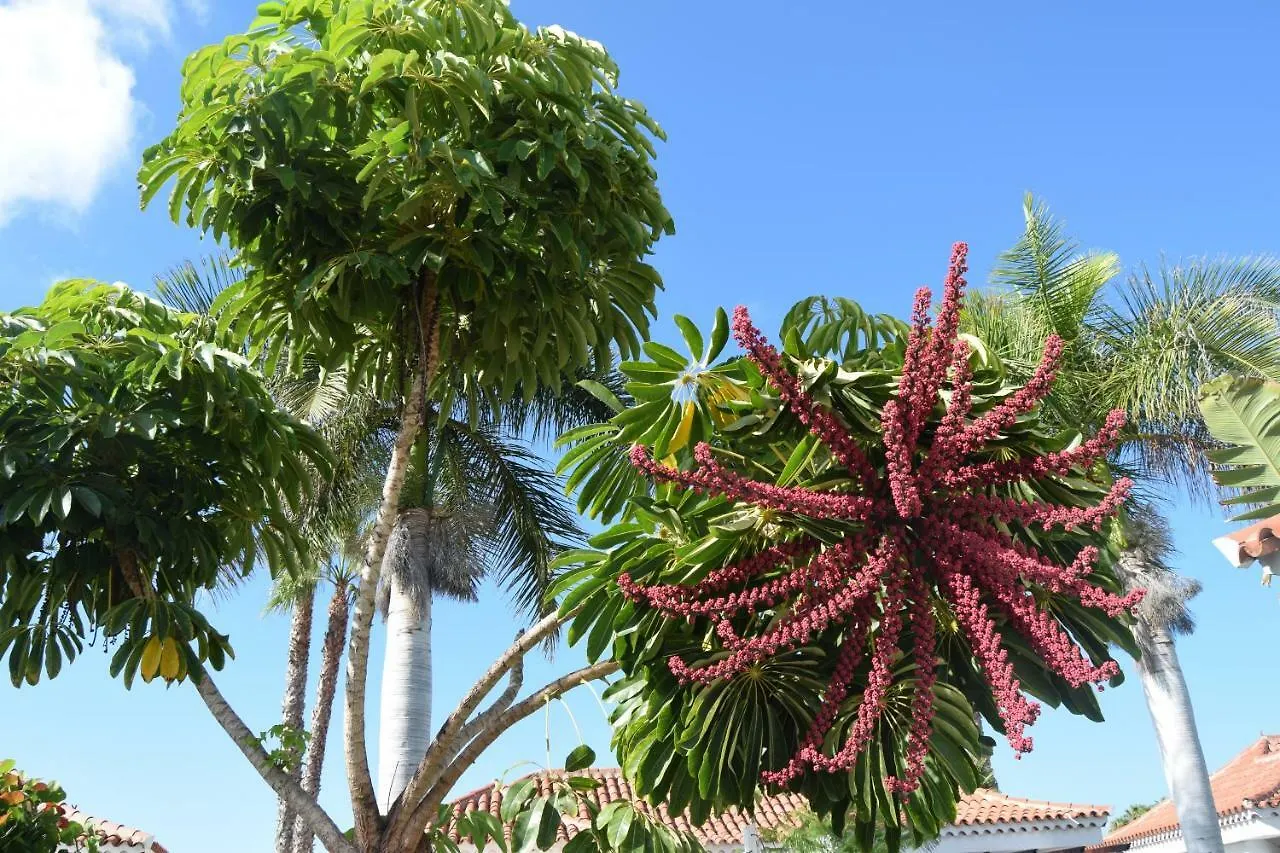 Parque Golf Fresh Apartment Maspalomas