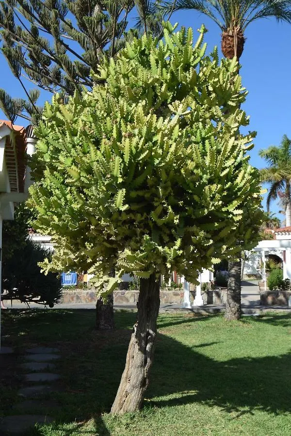 Parque Golf Fresh Apartman Maspalomas  0*, Maspalomas (Gran Canaria)