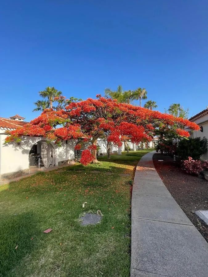 Parque Golf Fresh Apartment Maspalomas