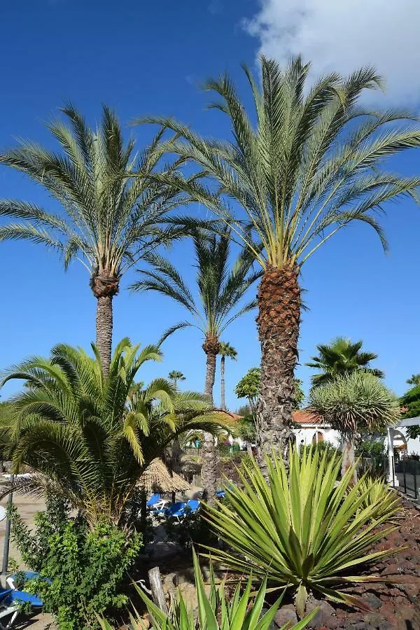Parque Golf Fresh Apartment Maspalomas  Spain